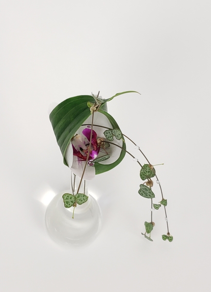 I tip my (flower) cap flower arrangement by Christine de Beer I tip my (flower) cap flower arrangement by Christine de Beer