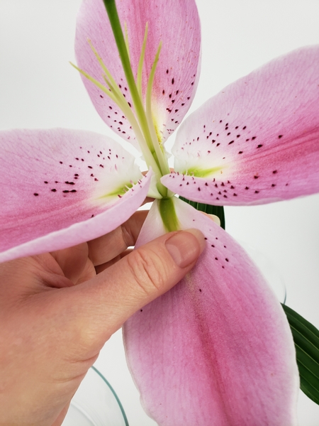 Pick away all but three of the petals from a fully opened lily
