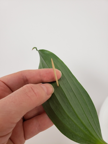 Poke a small hole into a leaf