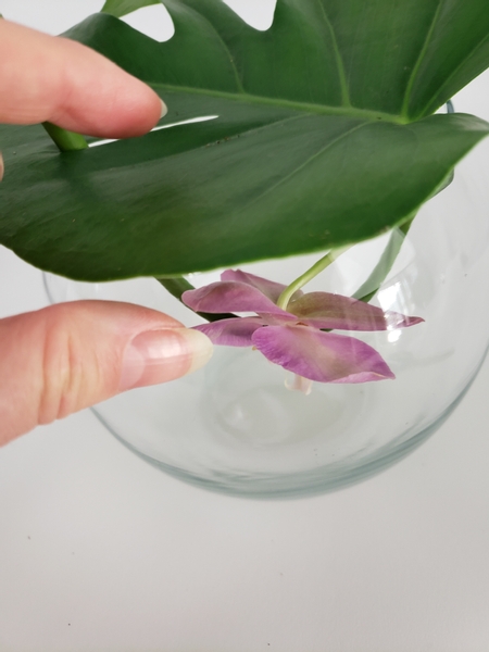 Rest the Monstera leaf on a small glass container