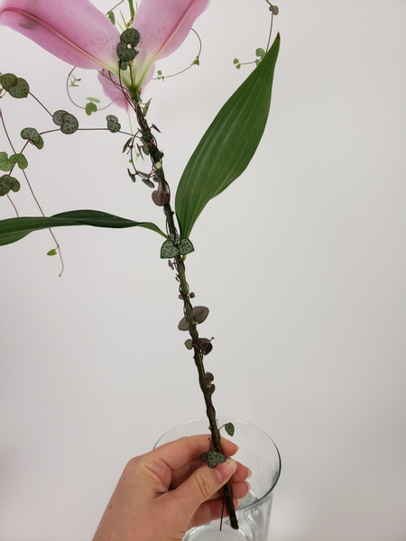 Wind another long vine from the lily stem end up the stem and to the base of the flower Wind another long vine from the lily stem end up the stem and to the base of the flower