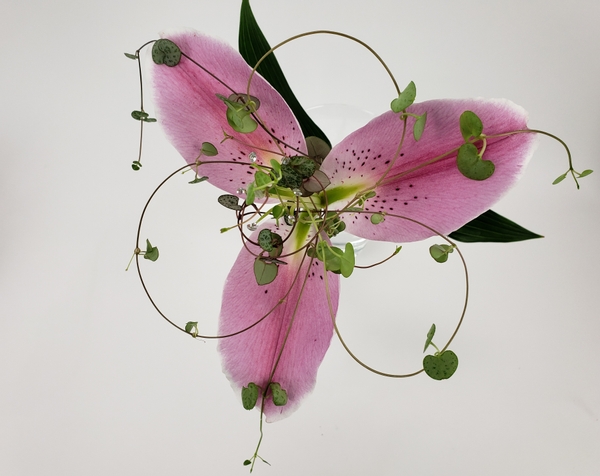 You can make a flower arrangement from a single flower