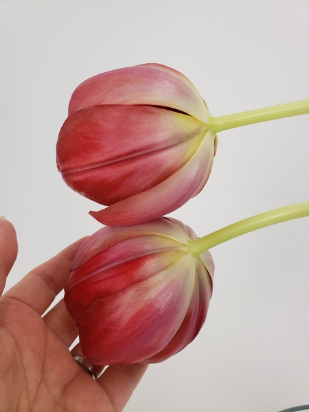 Allowing the growing flower heads to gently curve and lean