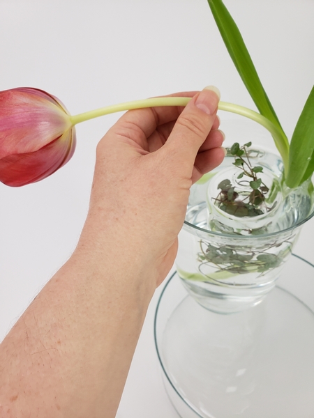 Drape two fully open tulips over the floating vine nest