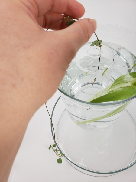 Feed the rosary vine carefully into the vase