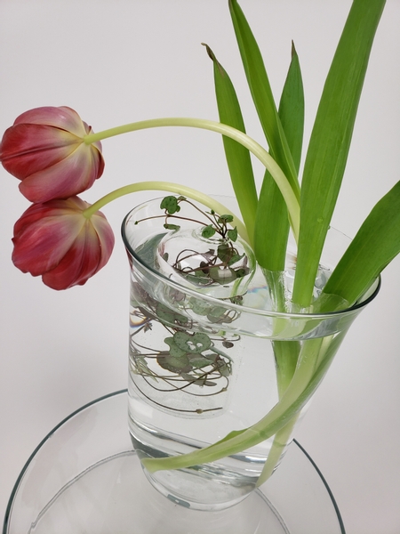How to design with tulips