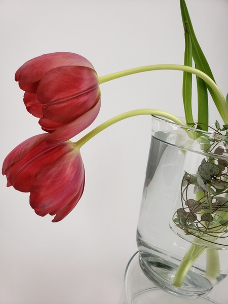 Leaning tulips in a spring arrangement