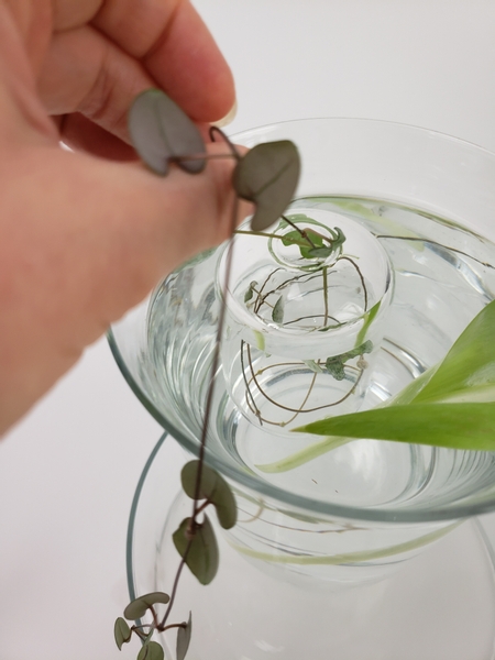 Let the vine swirl in the vase to create a beautiful vine nest