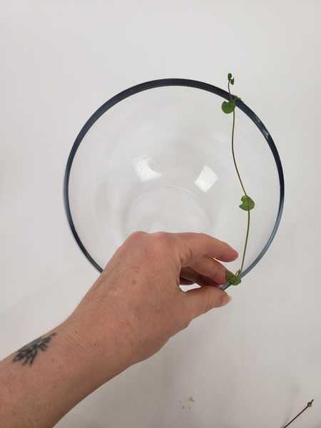 Place a rosary vine to stretch from one side of the opening of vase to the other