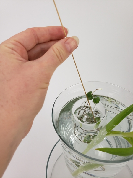 Use a thin reed or skewer to position and swirl the vine