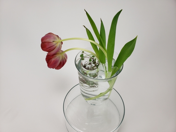 Zero waste flower arrangement ideas for florists