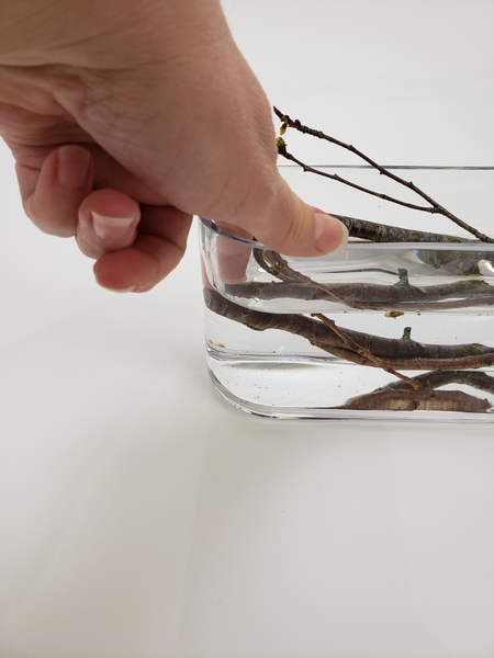 Make sure the cut end of the branches are under water so that it can continue to sprout the gorgeous new growth and remain hydrated