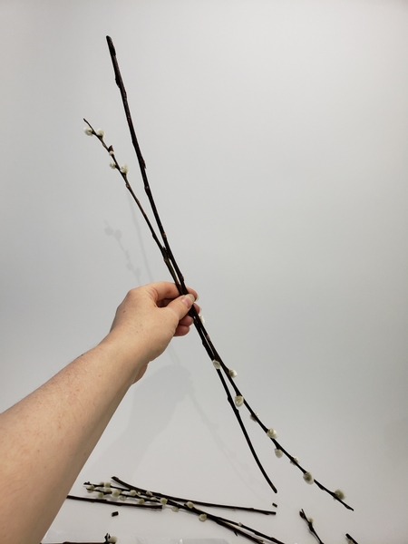 Match two long pussy willow stems