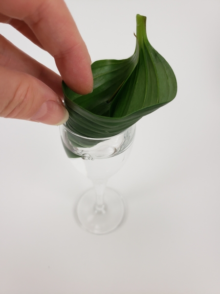 Place the leaf deep into the container Place the leaf deep into the container