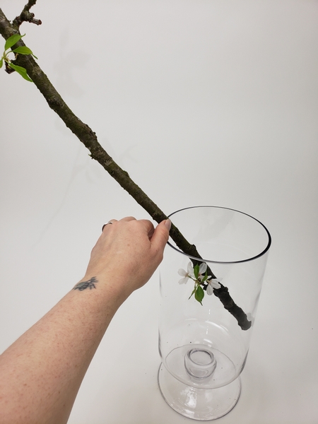 Give the branch a clean cut and place it in a clean vase.
