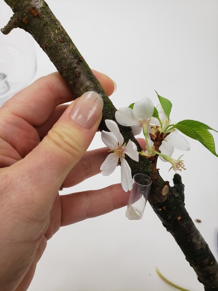 Glue in a few water tubes to the branch