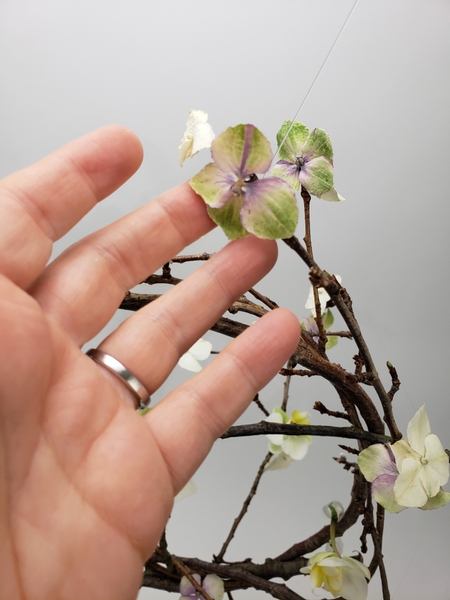 Glue in the dried hydrangeas