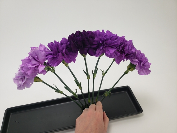 Add all the carnations to radiate out Add all the carnations to radiate out