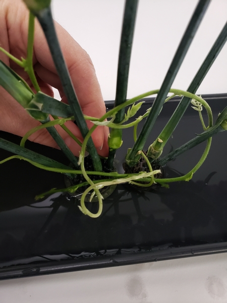 Add the next vine to extend to the other side and weave it through the carnation stems