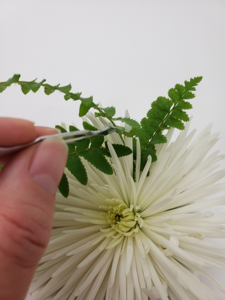 And use a cuticle pusher to rearrange the petals to uplift and support the fern in the exact position you want it