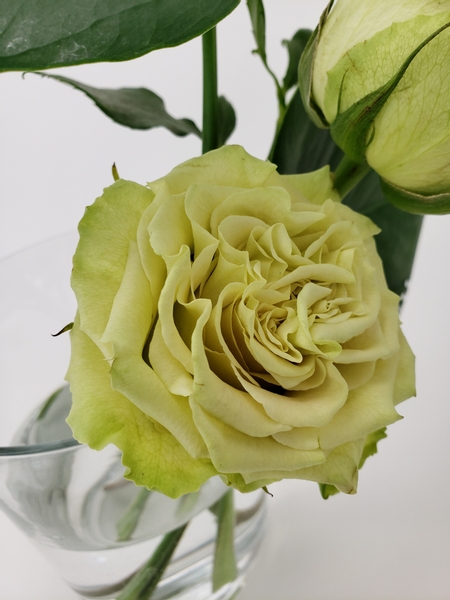 Easy and budget friendly Green rose floral design