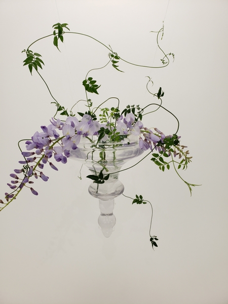 Hang a few wisteria flowers for a Spring decoration
