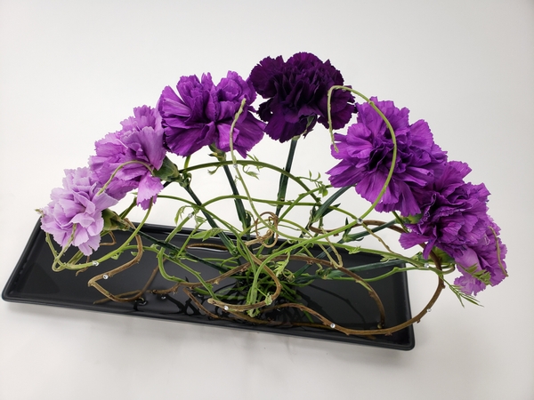 Radiating carnations in a flower arrangement