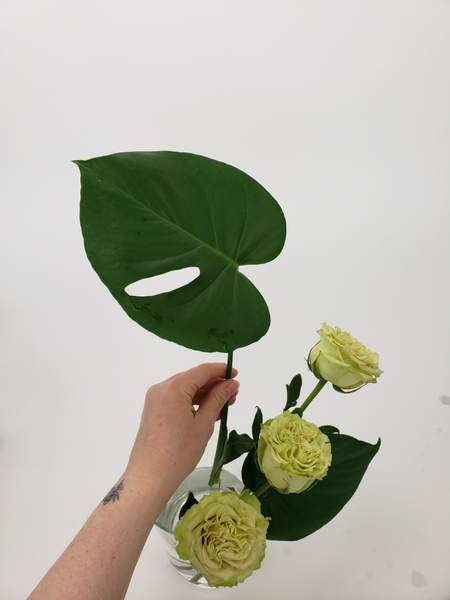 Slip in a second monstera leaf