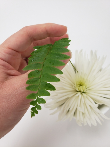 Slip the fern between the petals