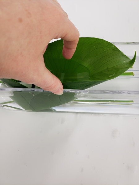 Add a second leaf to create a cup