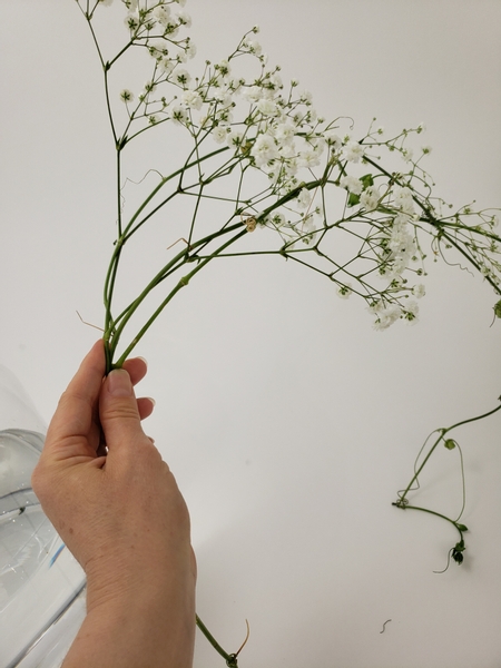 Preserved Baby's Breath Flowers, 50stems (Bulk Bundle)