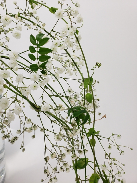 Gypsophila and vine summer flower arrangement