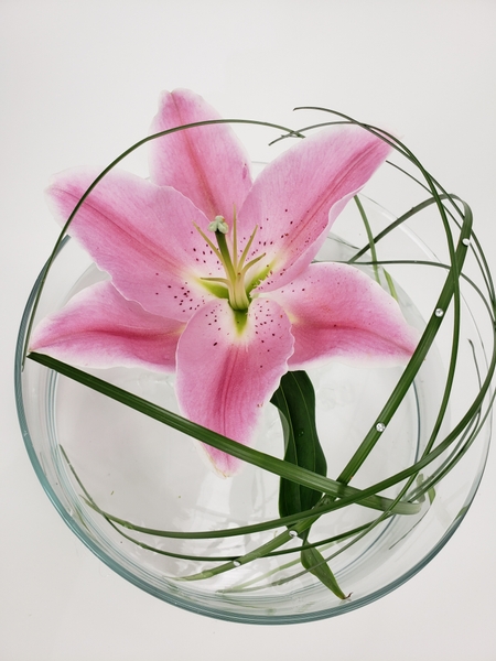 Lily flower arrangement for summer