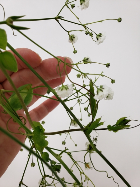 Manipulate the flowers to follow the curve using the vines as a guide