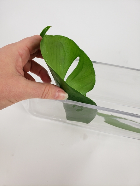 Slip a mostera leaf into a elongated vase