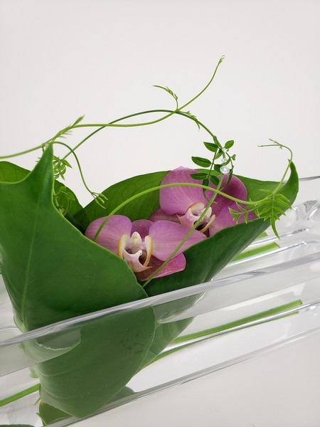Sustainable floral design solutions for environmentally friendly floral designs