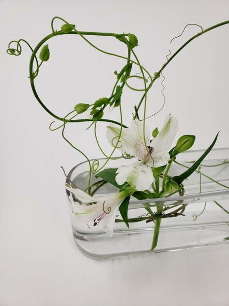 Using vines with tendrils to keep your flowers in place in a vase