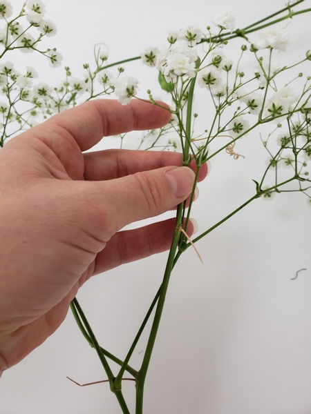 Weave a second vine through the flowers to create v