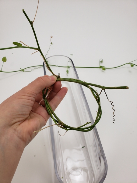Weave a sturdy wreath into the vine.