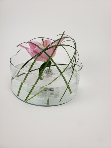 Zero waste flower arrangement with a single flower