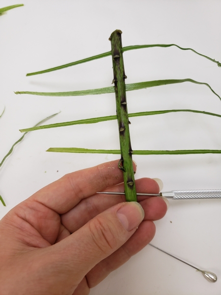 Move down the twig and skewer and thread six strands of ripped grass