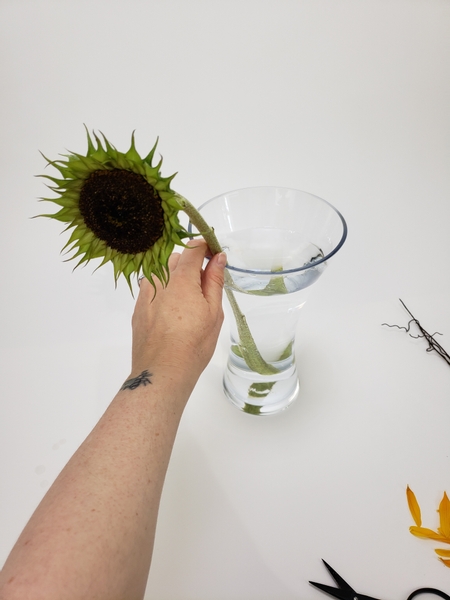 Place the disk floret in a water filled vase