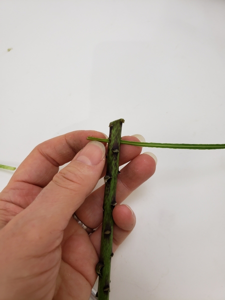 Skewer or drill small holes through the stem to fit the ripped grass