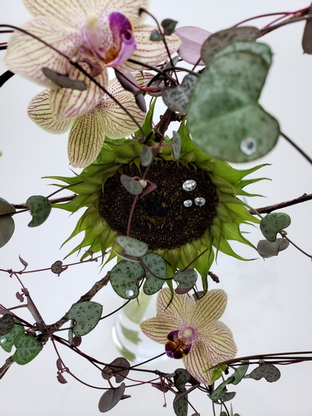 Sunflower disk floret