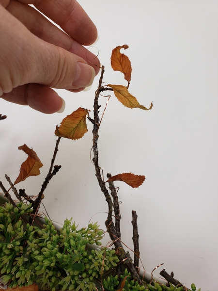 And wind a few strands of copper wire to curl around the twigs And wind a few strands of copper wire to curl around the twigs