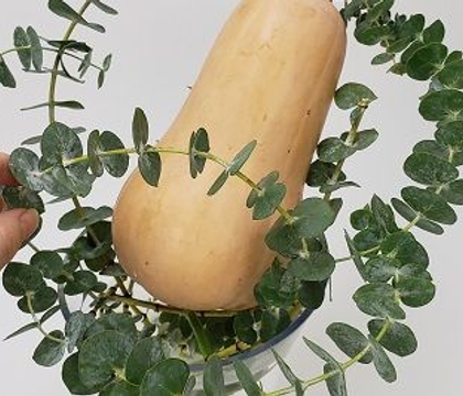 It’s butter… nuts!