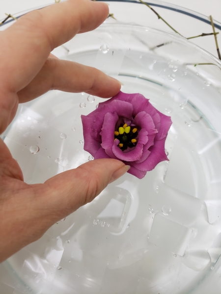 Cut the lisianthus flowers short and rest it on the tape