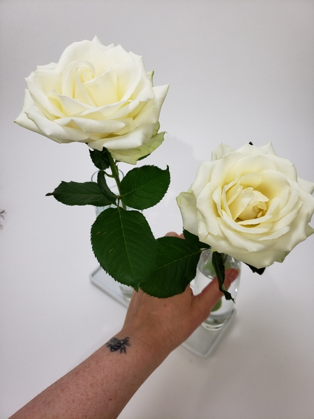 Give the roses a fresh cut and place it into the vases
