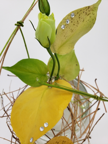 Let flowers soak up pigments to dye the petals