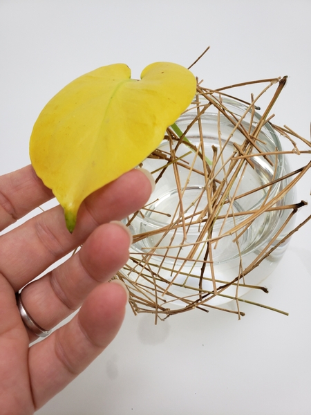 Slip the plant material through the grid so that the stems rest in the water